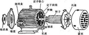 振動(dòng)電機(jī)損壞的常見(jiàn)原因有哪些？